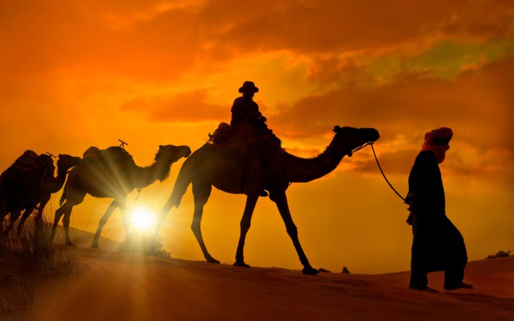 Países que Não Exigem Visto para Brasileiros. Caravana de camelos, Deserto do Saara, Marrocos.
